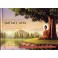 Памоджо "Випассана. Иллюстрированное руководство по буддийской медитации для начинающих" (цветная книга)
