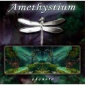 CD Amethystium / Odonata