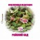 Компактный диск Angelight / Исцеляющая медитация / Райский сад