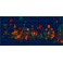 Lyapko Masažuoklis-kilimelis "Viengubas" 105 x 230 mm), adatų žingsnis 5,8 mm