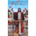 Cards Taro 3D