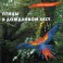 Звуки природы / Птицы в дождливом лесу