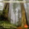CD: Музыка в гармонии с природой / В объятиях летней ночи