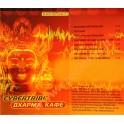 Аудиокассета: Cybertribe / Дхарма кафе