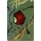 Таро карты Теней темного леса (коробка: 78 карт + брошюра) / Лилиан Шервуд