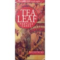 TEA LEAF FORTUNE CARDS