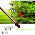 CD: Chinese music / Amorous String